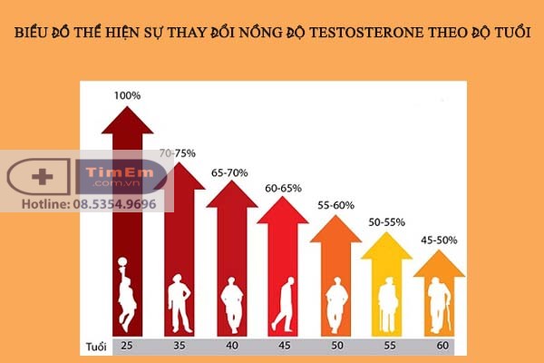 Biểu đồ thể hiện sự thay Đổi nồng độ testosterone theo độ tuổi